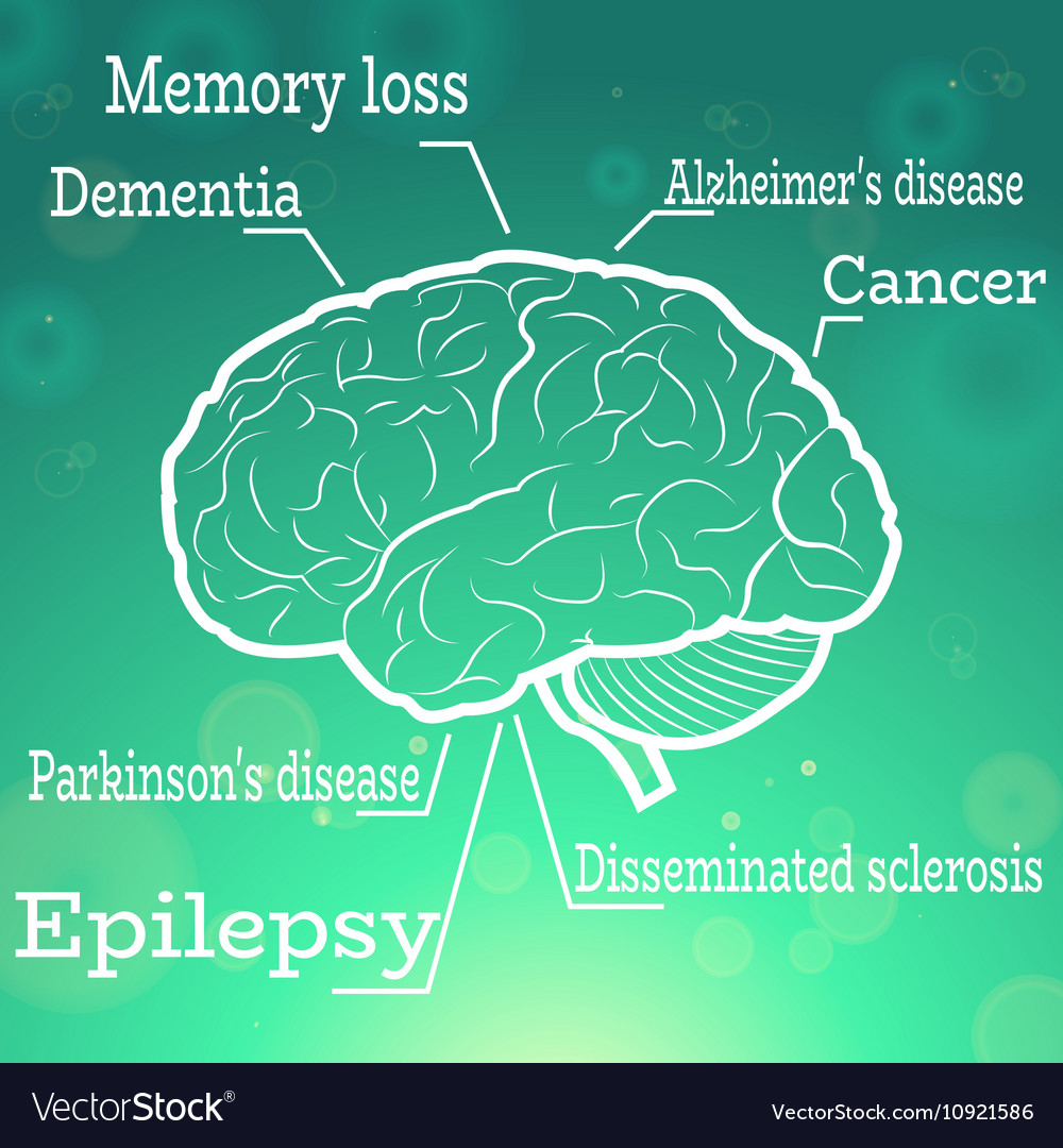 Understanding Brain Injuries Diseases And Dysfunctions Purpose 